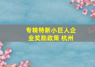 专精特新小巨人企业奖励政策 杭州